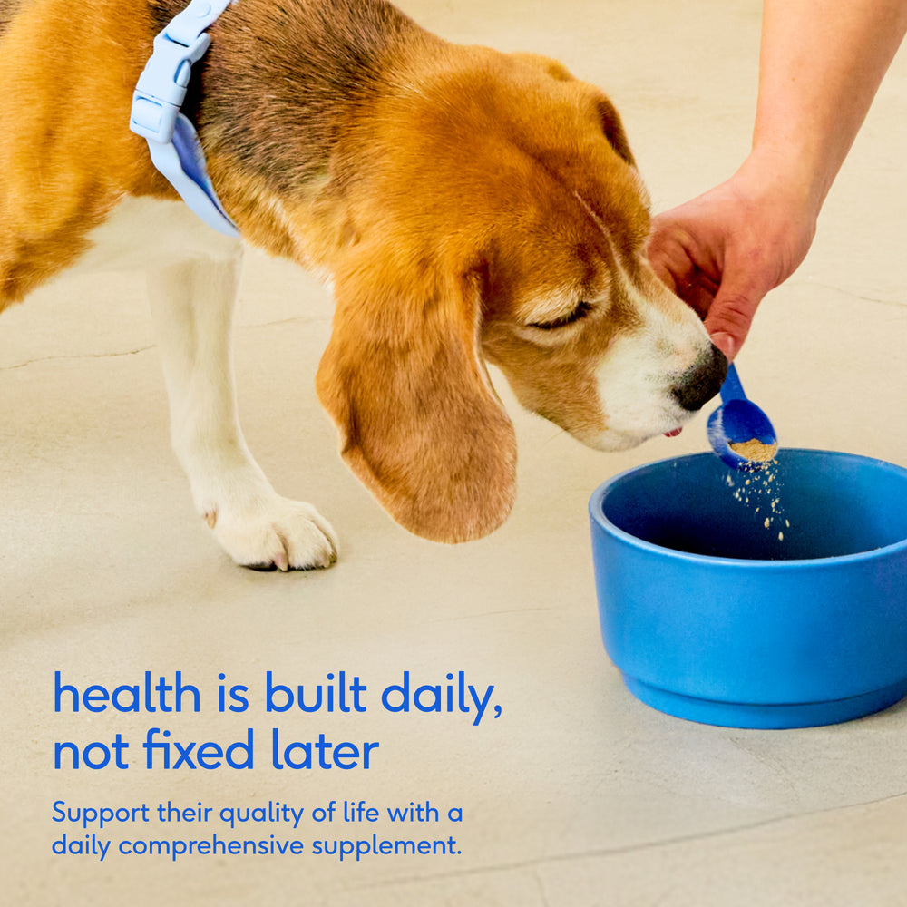 Native Pet The Daily Dog 11 in 1 Multivitamin Powder 60 Scoops