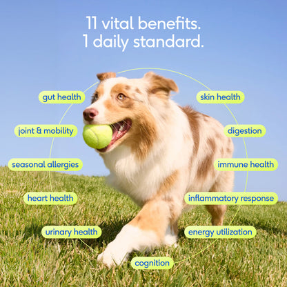 Native Pet The Daily Dog 11 in 1 Multivitamin Powder 60 Scoops