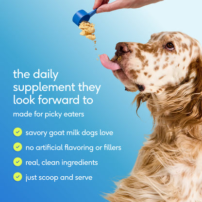 Native Pet The Daily Dog 11 in 1 Multivitamin Powder 60 Scoops